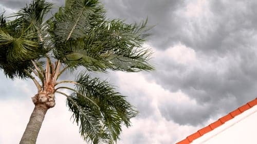 Roof Replacement in Houston: What Homeowners Should Know Before Signing